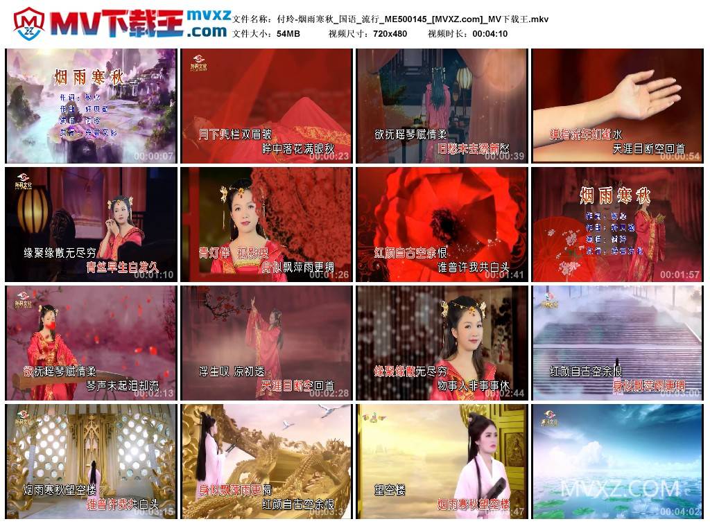 付玲-烟雨寒秋_国语_流行_ME500145